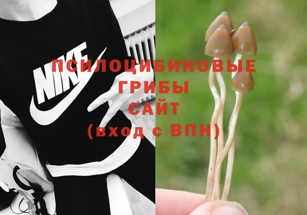 эйфоретик Березники