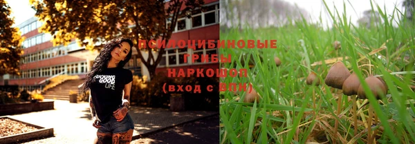 МДМА Лагань