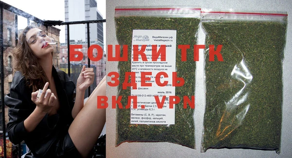 стаф Липки