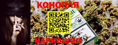 шишки Жуковский