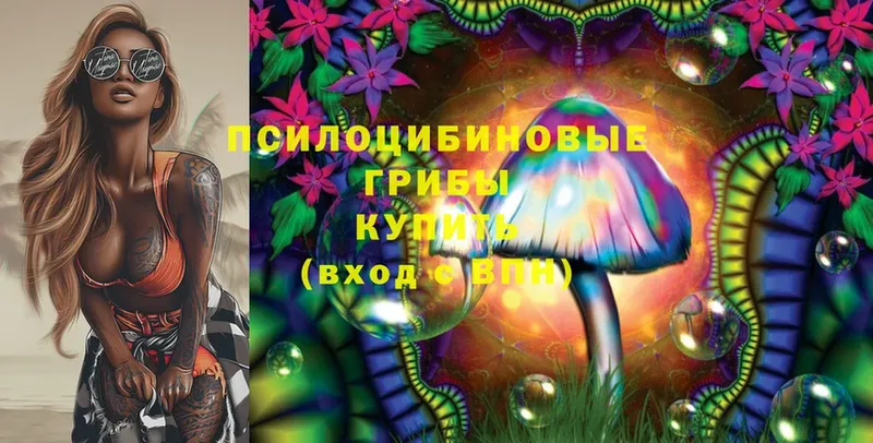 Псилоцибиновые грибы Magic Shrooms  мега зеркало  Коломна  купить наркотик 