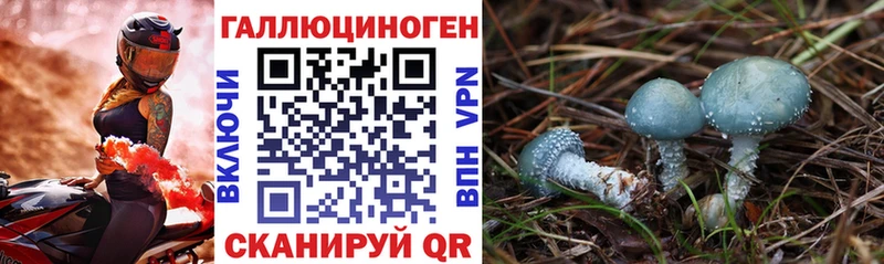дарнет шоп  Коломна  mega ССЫЛКА  Псилоцибиновые грибы GOLDEN TEACHER 