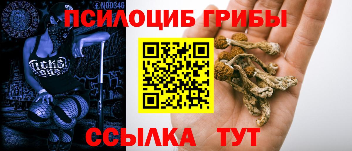 Псилоцибиновые грибы Psilocybine cubensis Коломна